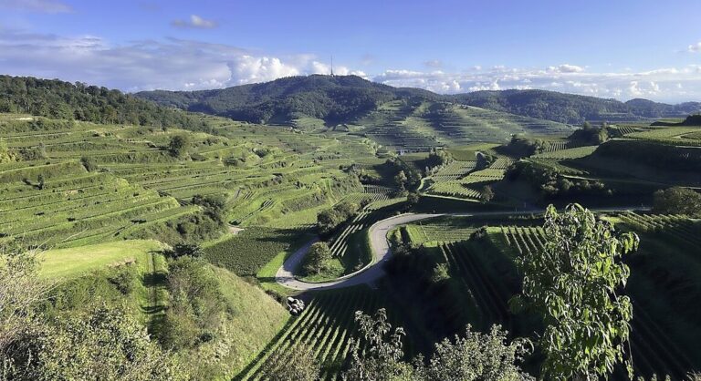 Spaß, Genuss und Radsport