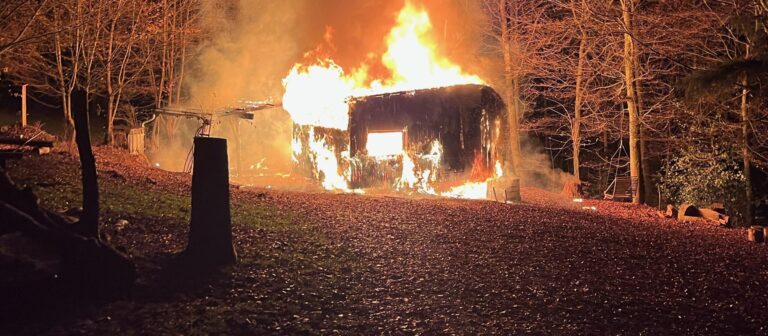 Nach Brand im Freiämter Waldkindergarten: Trägerverein sammelt Geld für neuen Bauwagen