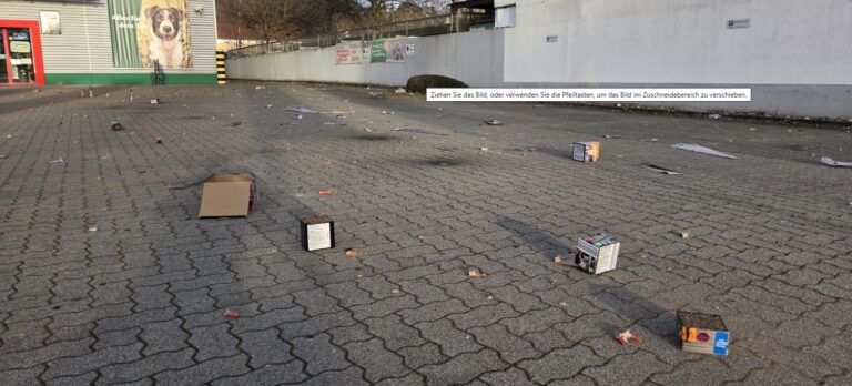 Schreckschüsse neben dem Tierheim: Unbekannte zünden Silvesterfeuerwerk auf direkt angrenzendem Parkplatz