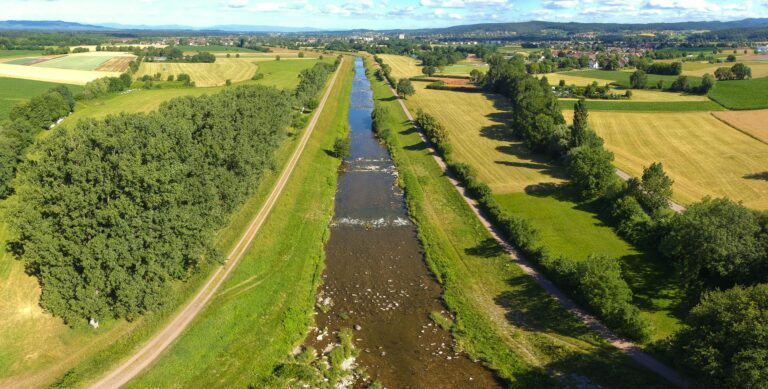 Renaturierung der Elz: Zwischen Wasser und Kollmarsreute beginnt bald die Rückverlegung der Dämme