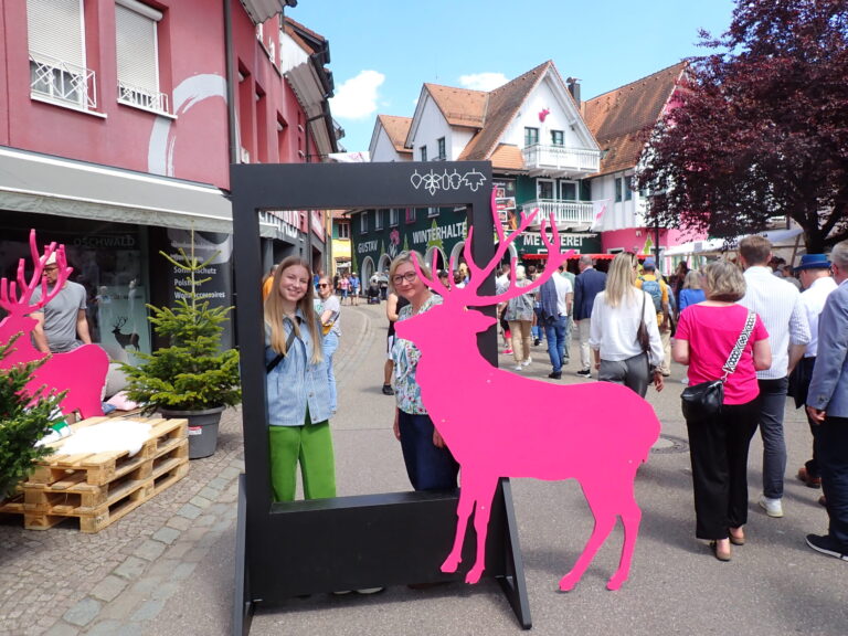 Schwarzwald-Heimat-Markt mit Altstadt-Antik-Markt