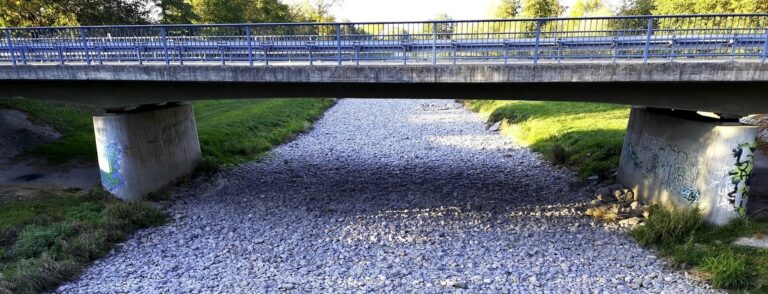 Die Dreisam war in diesem Sommer an zahlreichen Stellen in Freiburg und der Regio ausgetrocknet.